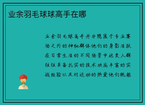 业余羽毛球球高手在哪